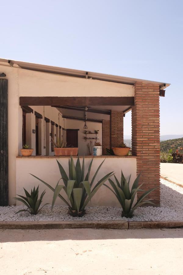 The Wild Olive Andalucia Palma Guestroom Casares Exterior foto