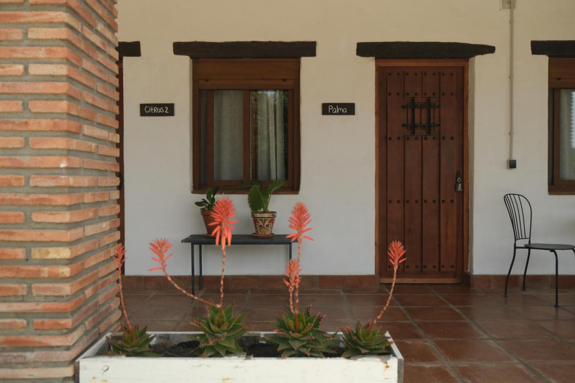 The Wild Olive Andalucia Palma Guestroom Casares Exterior foto